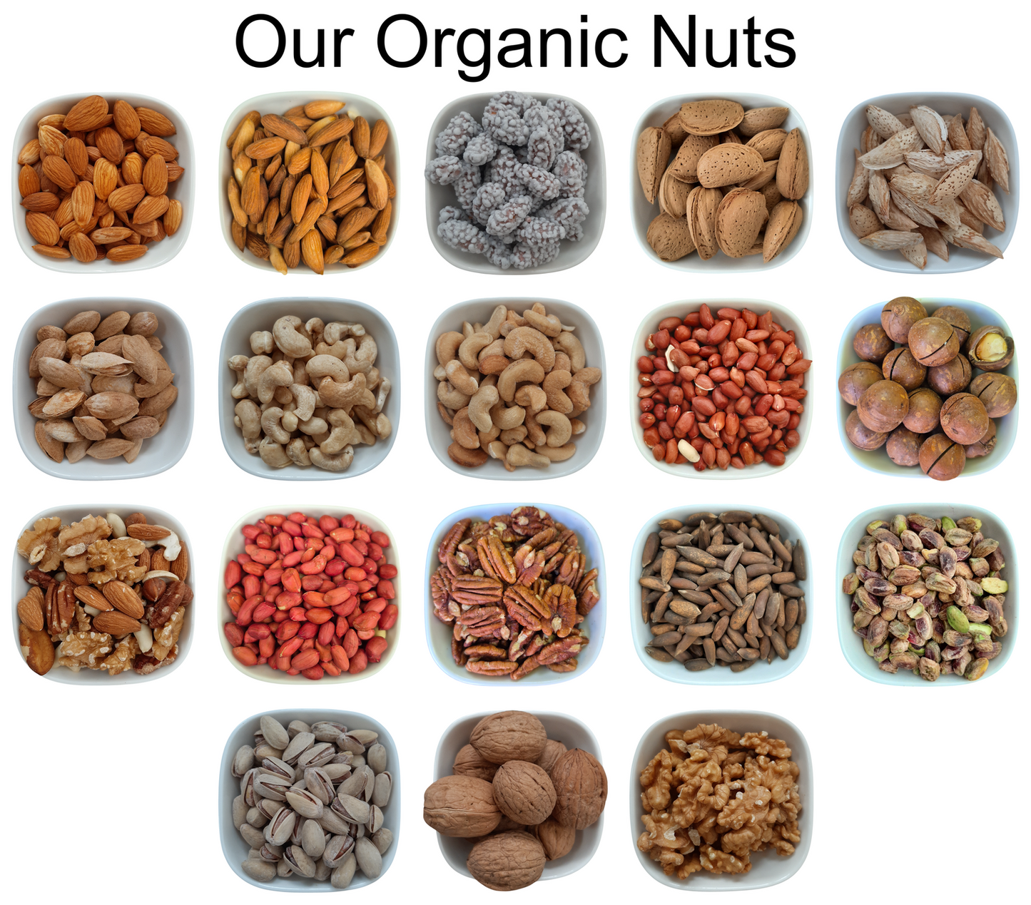 Dried Apricot Kernels – Natural Premium-quality + Free sample!