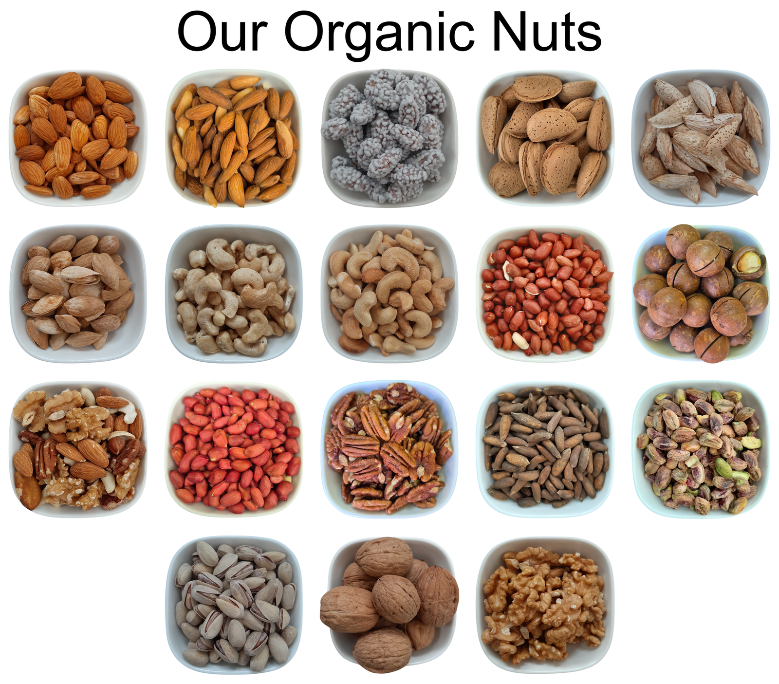 Dried Apricot Kernels – Natural Premium-quality + Free sample!